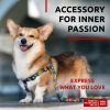 Nylon Dog Leash for Small Medium Dogs 4 Ft Strong Dog Leash for Large Dogs Heavy Duty Dog Leashes for Large Breed Dogs & Puppy Leash for Small Boy & G